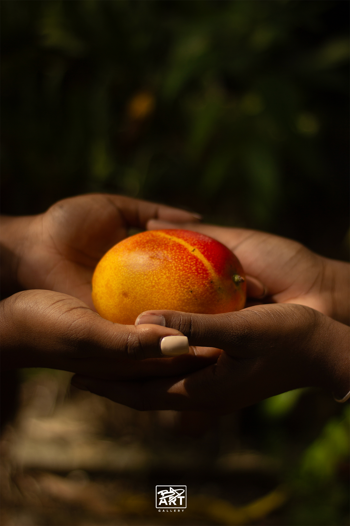 Postcard - Mango Szn